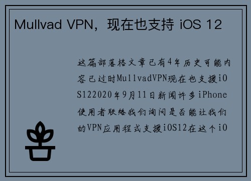 Mullvad VPN,现在也支持 iOS 12